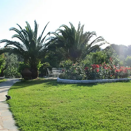 Katerina * كوكونارييس