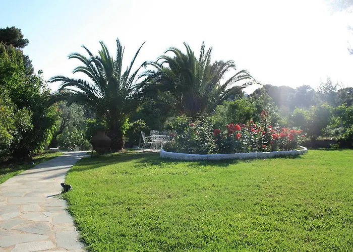 Katerina * كوكونارييس